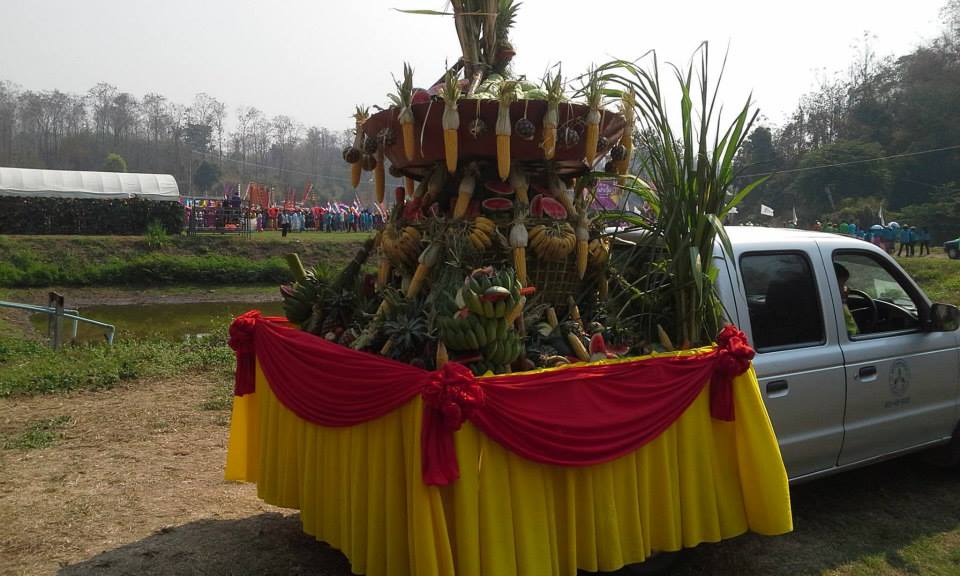 11063939_391334314361729_4233458740662805737_n