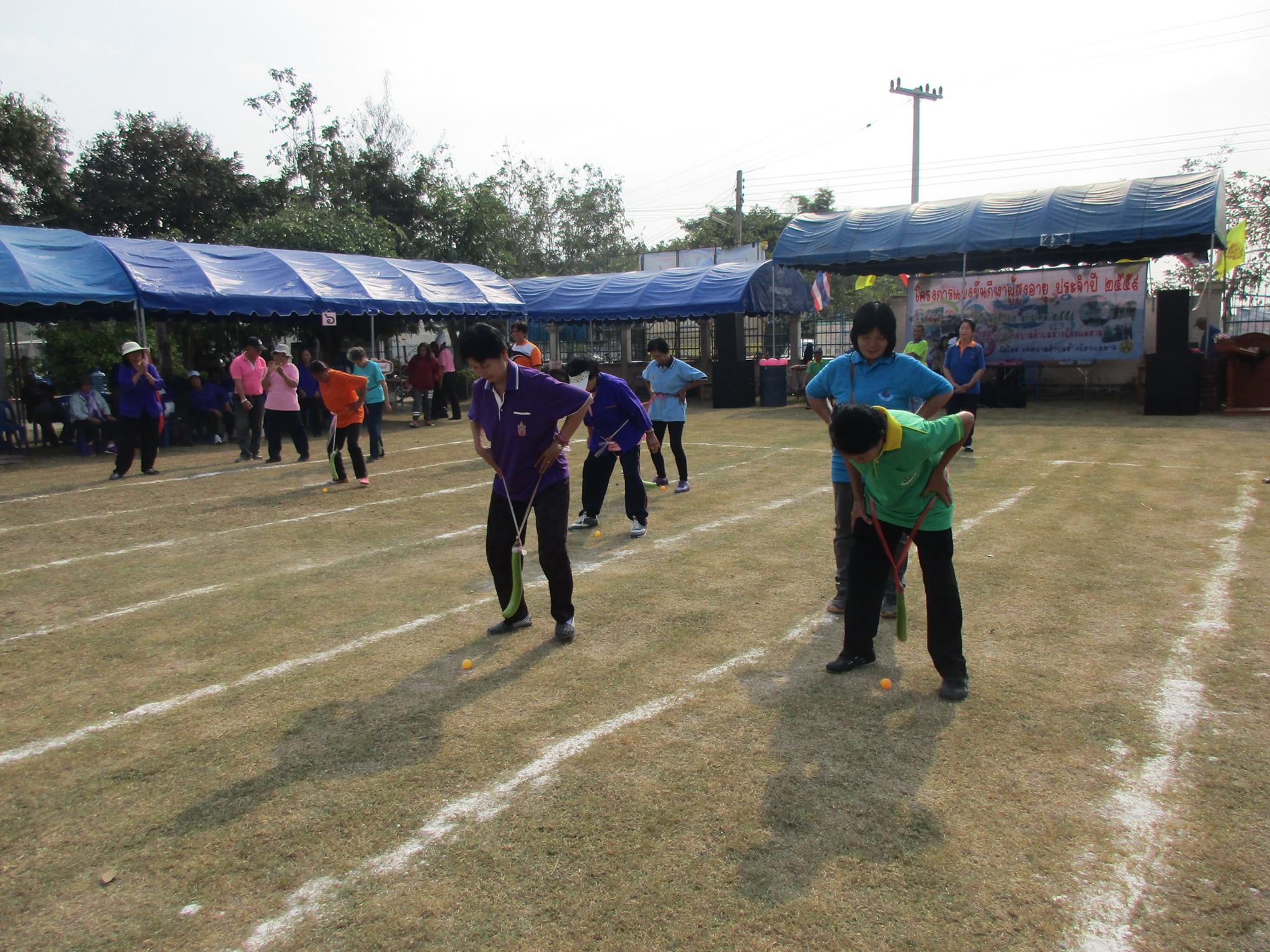 12620426_1076298829060135_4025568_o