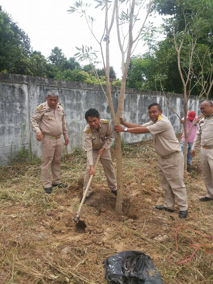 21105605_170944973469385_6699779725414498527_n