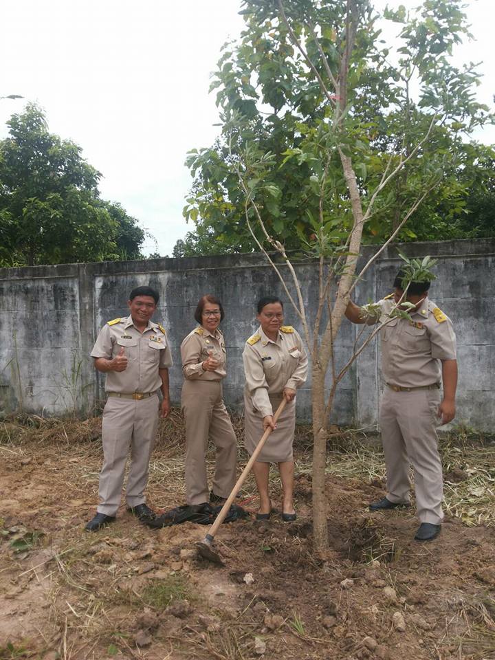 21192190_170944866802729_6612454401331923094_n