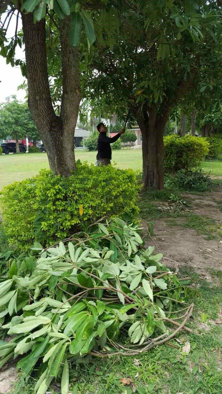 23557957_10210272077272720_329892194_o