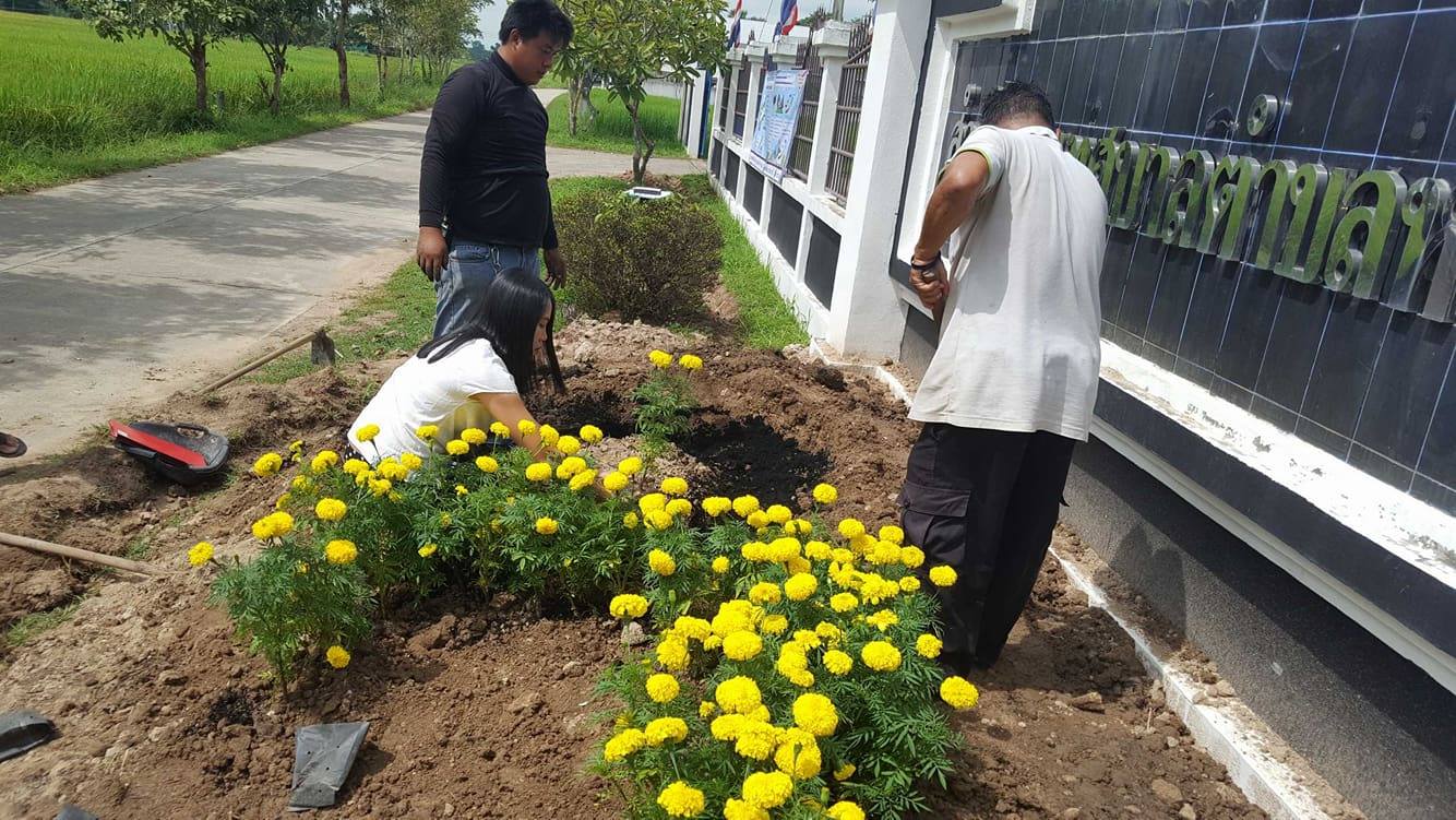 23558181_10210272843491875_2083495394_o