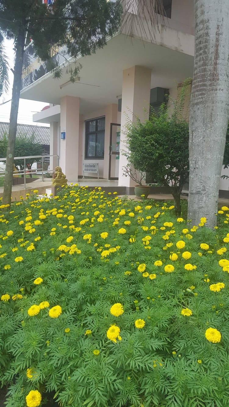 23584007_10210272843051864_870481189_o