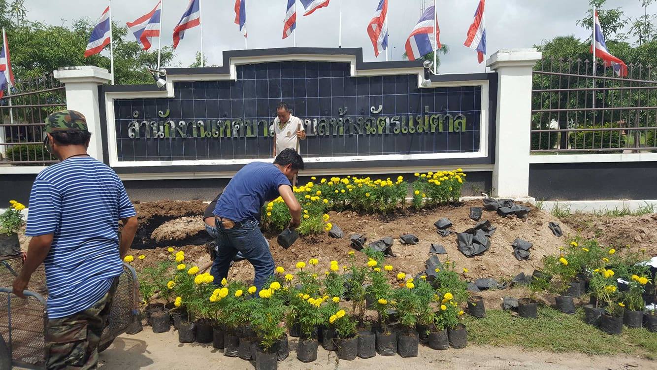 23585117_10210272843211868_112306109_o