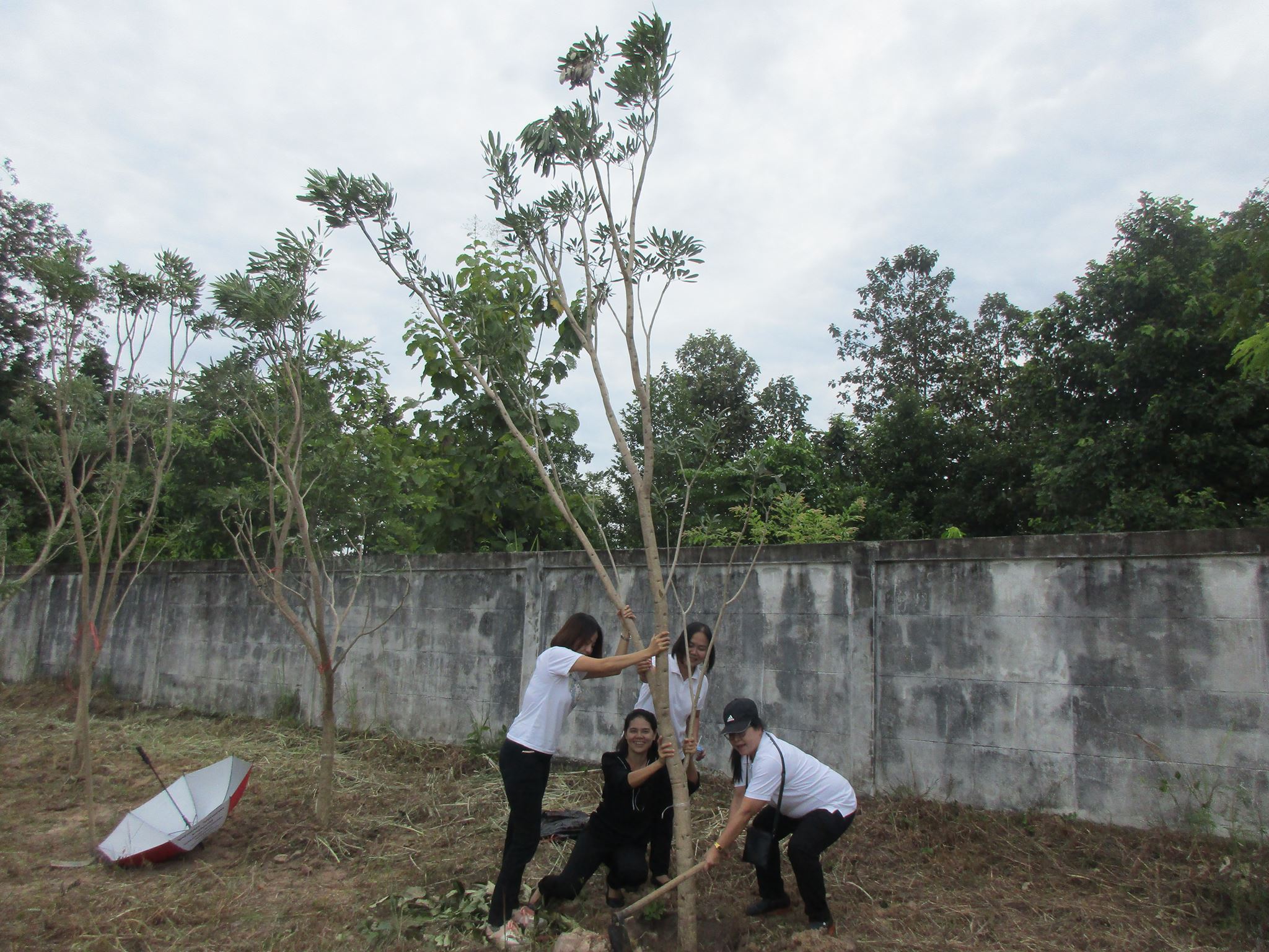 23600113_1675909995765679_461431555_o