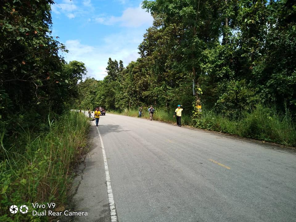 44593371_1053697254792095_1254096790773301248_n