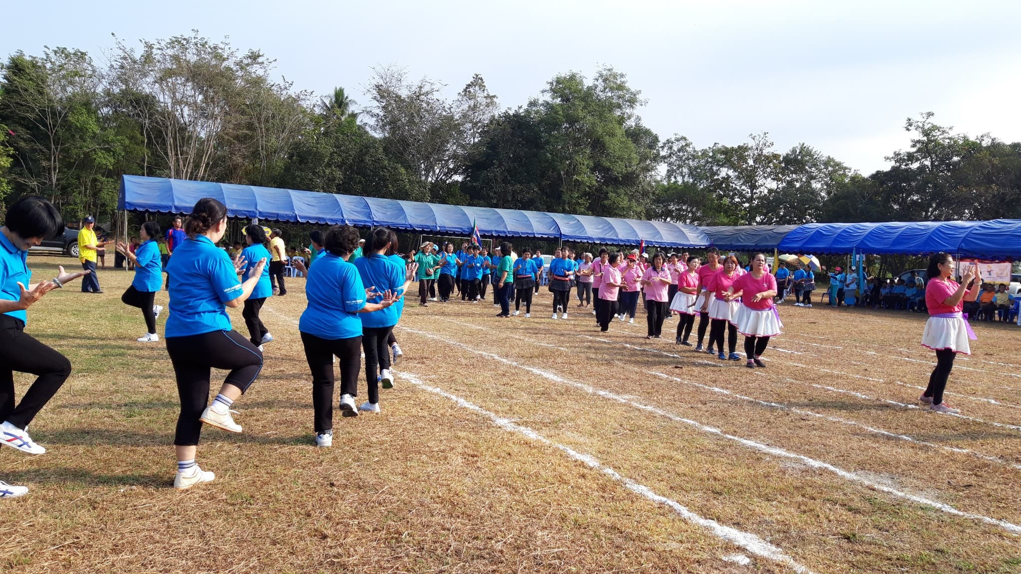 49395788_2242381072460017_4204222144638353408_n