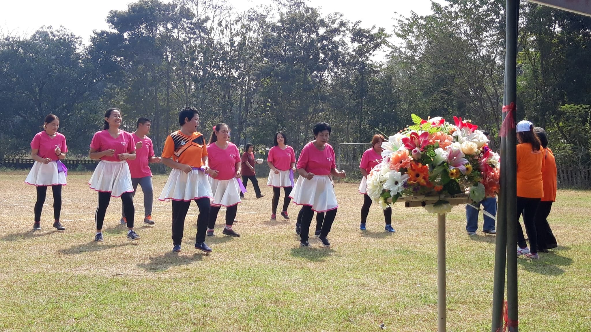 50047017_1855942031195564_7342355946674323456_n