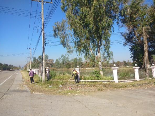 51576603_322335805057619_191726369430831104_n