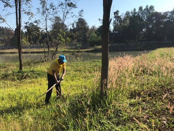 52029380_305195140187971_2978827190080110592_n