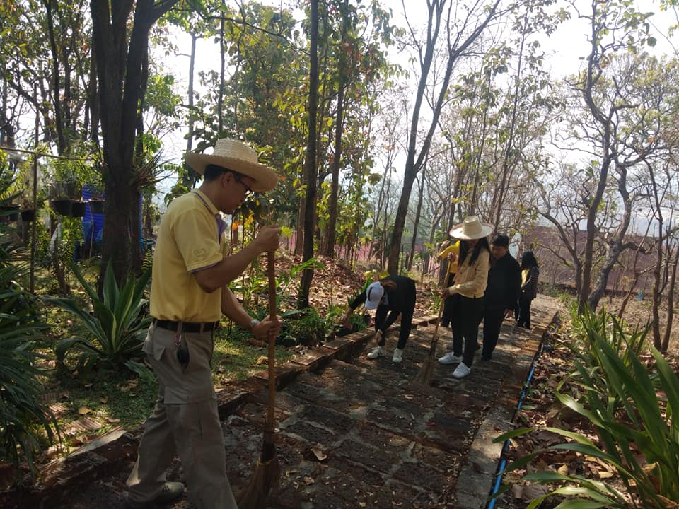 53607275_1153685438126609_5732348972861751296_n