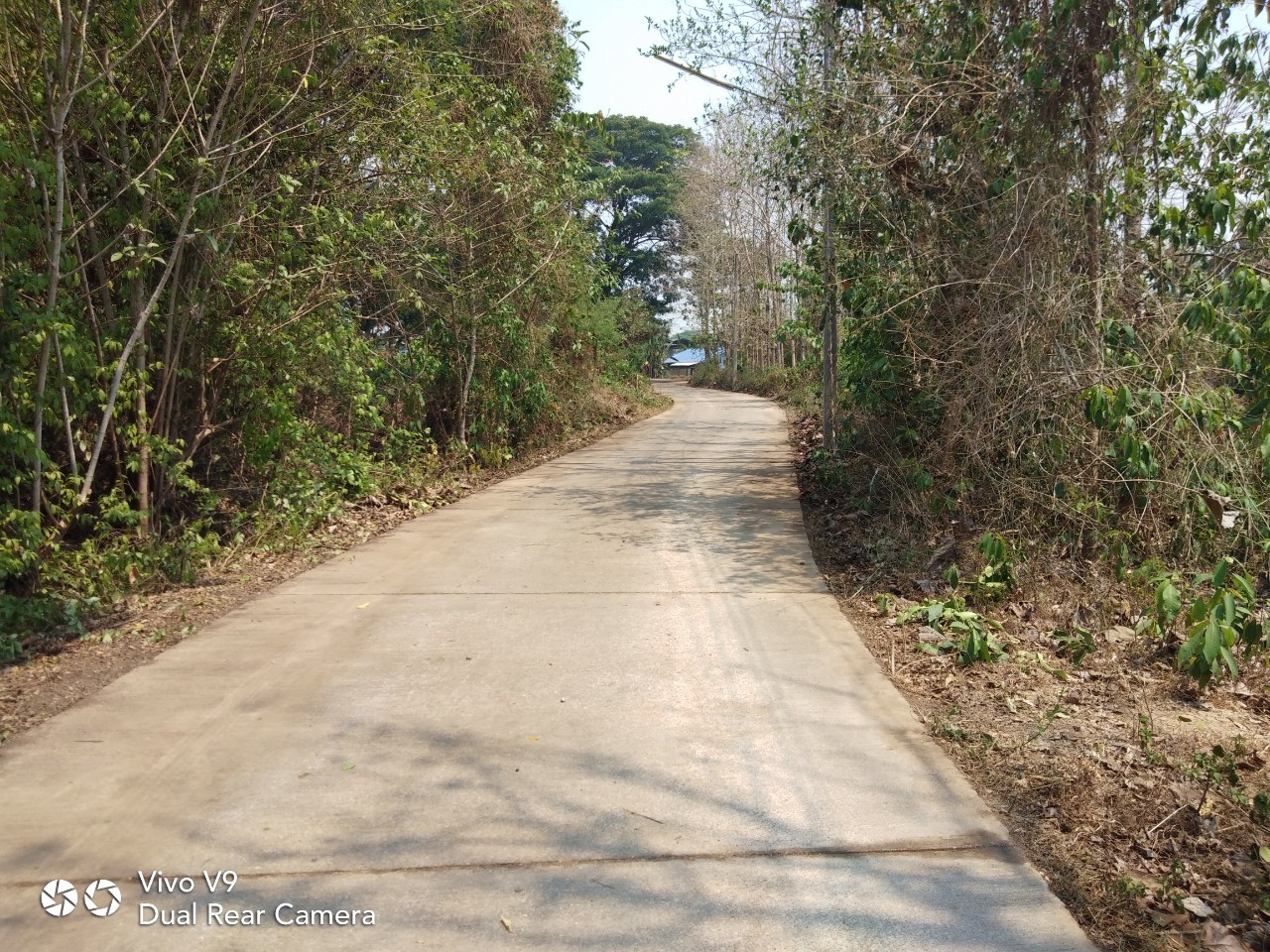 kick off 110462_๑๙๐๔๑๘_0029