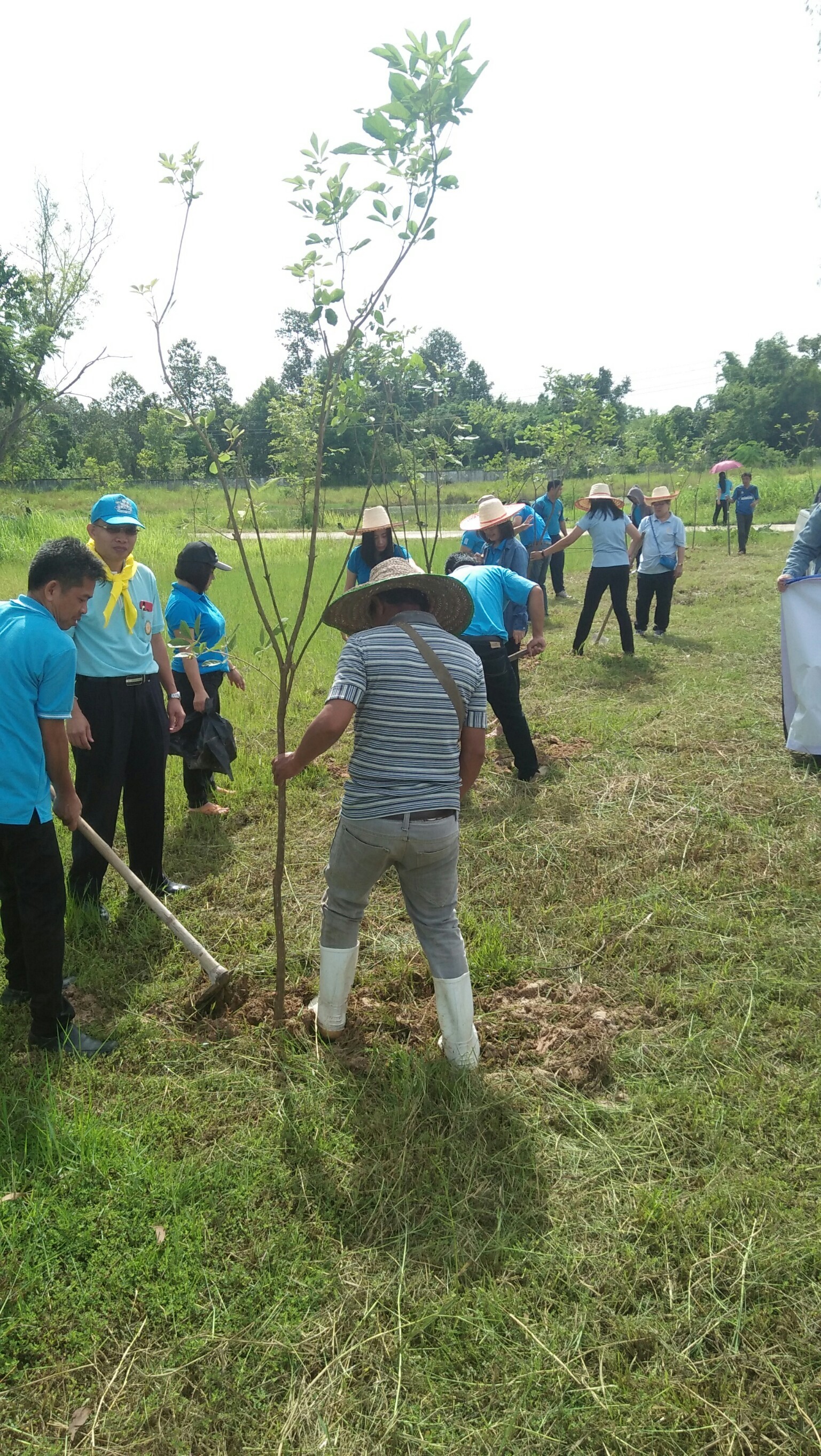 โครงการปลูกต้นไม้_๑๙๐๗๐๔_0005