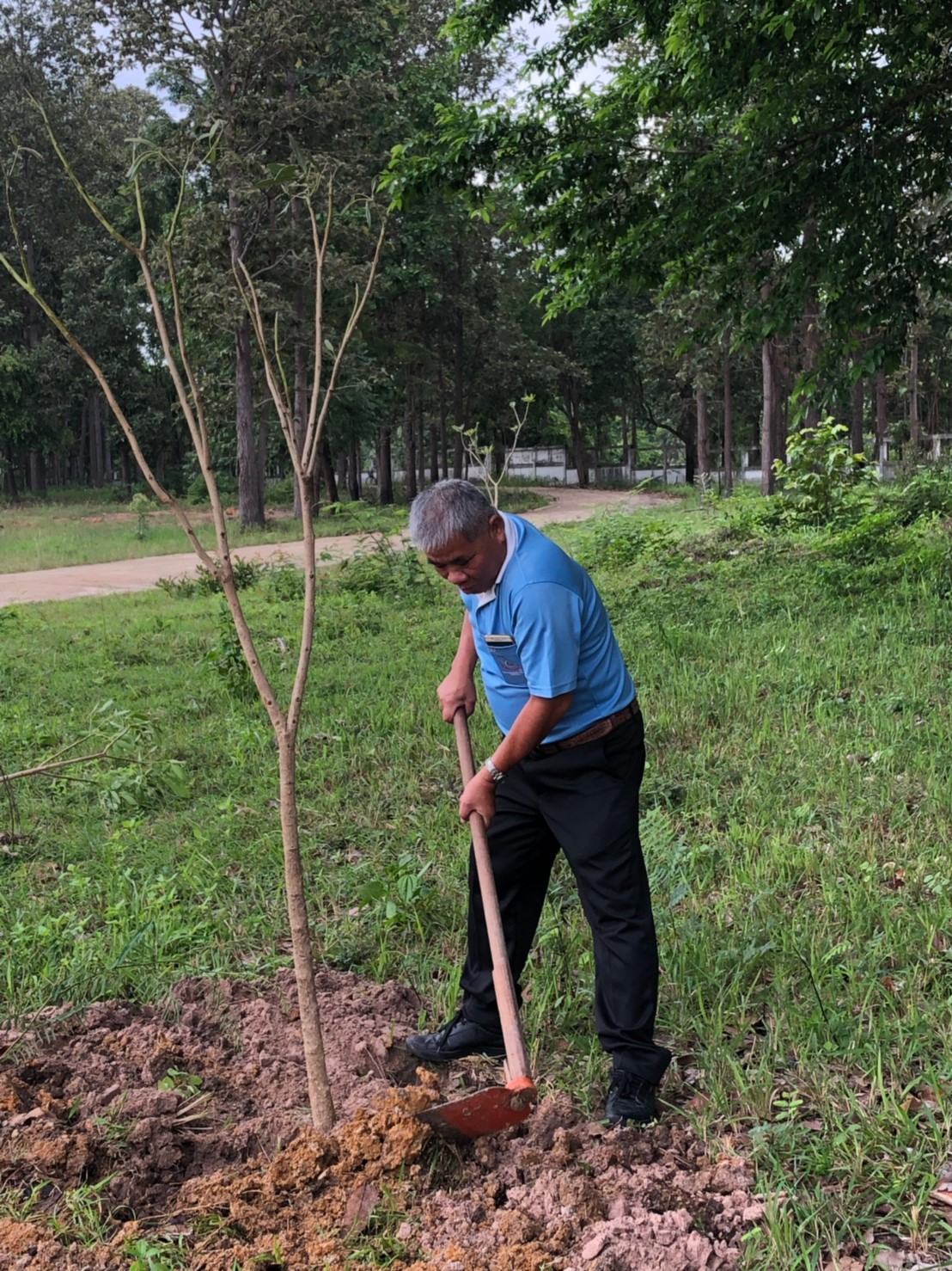 ปลูกต้นไม้วันเเม่2562_๑๙๐๘๑๕_0017