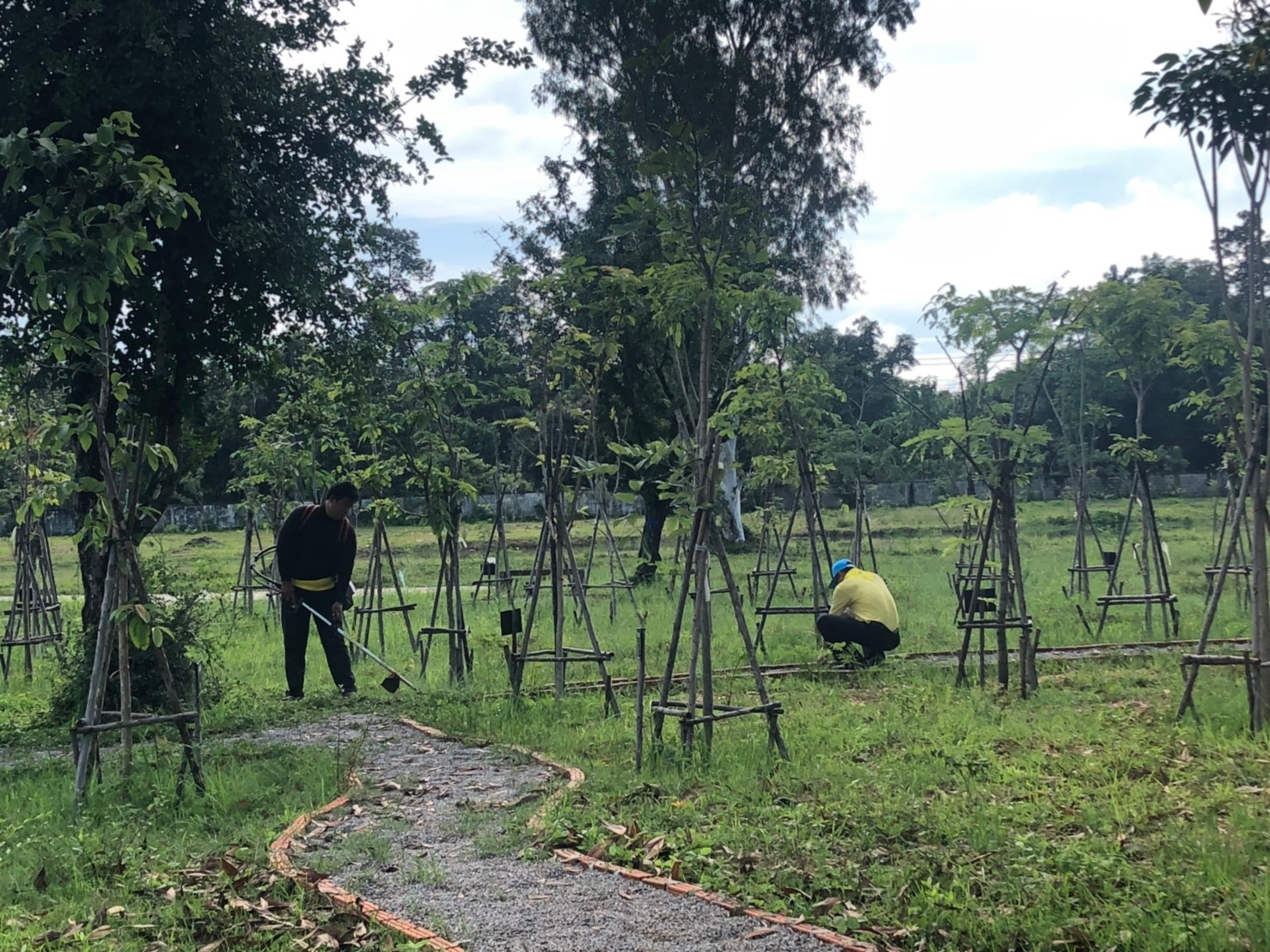 จิตอาสาทำความสะอาดเก็บขยะ 1392562_๑๙๐๙๑๓_0029